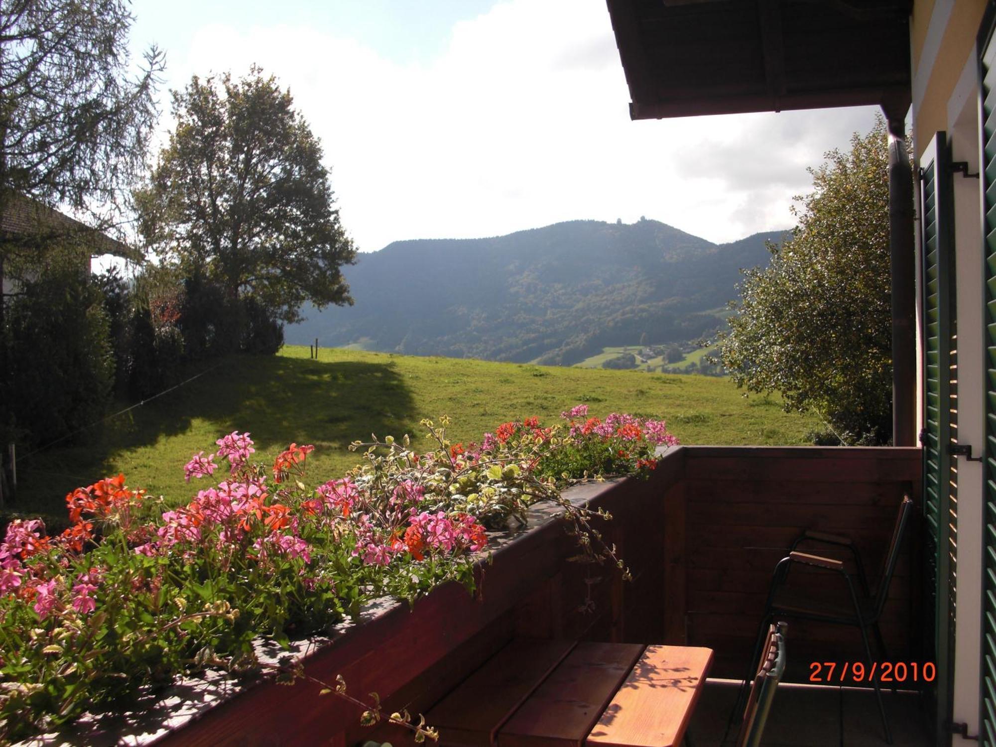 Pension Winter Zell am Moos Kültér fotó